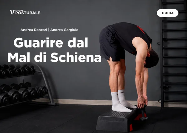 Guarire dal Mal di Schiena – Project InVictus - copertina corso